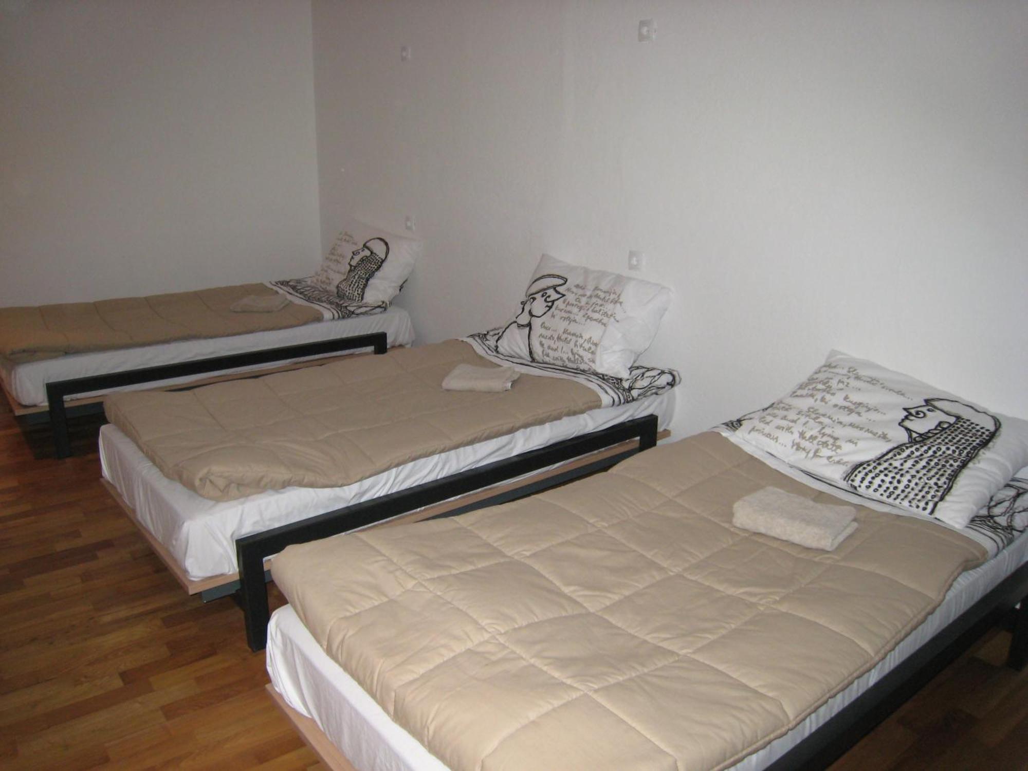 Hostel Situla Novo Mesto Extérieur photo